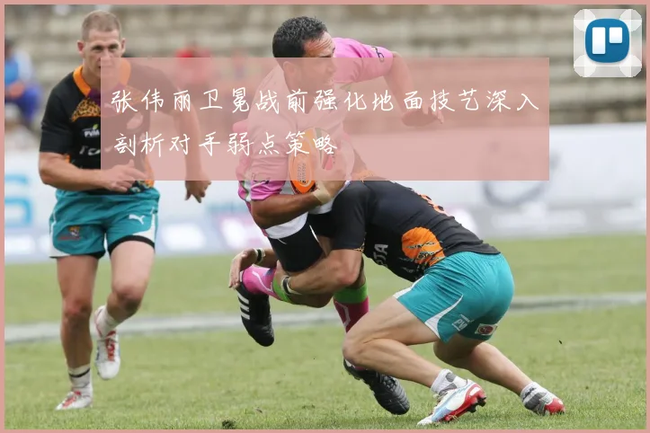 张伟丽卫冕战前强化地面技艺深入剖析对手弱点策略